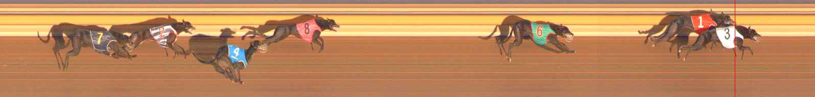Photo finish for Ballarat Race 3