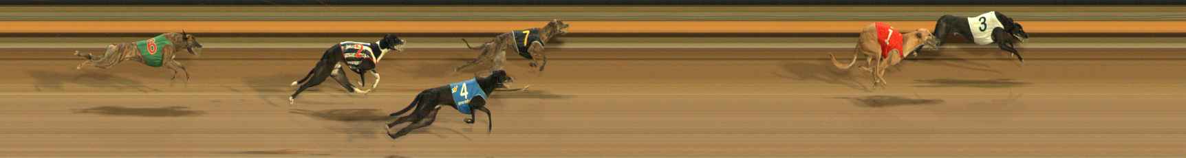 Photo finish for Ballarat Race 8