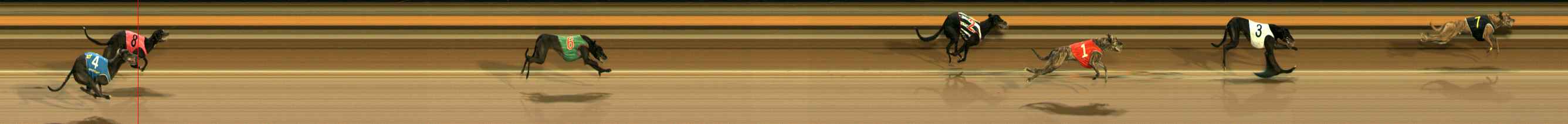 Photo finish for Ballarat Race 9