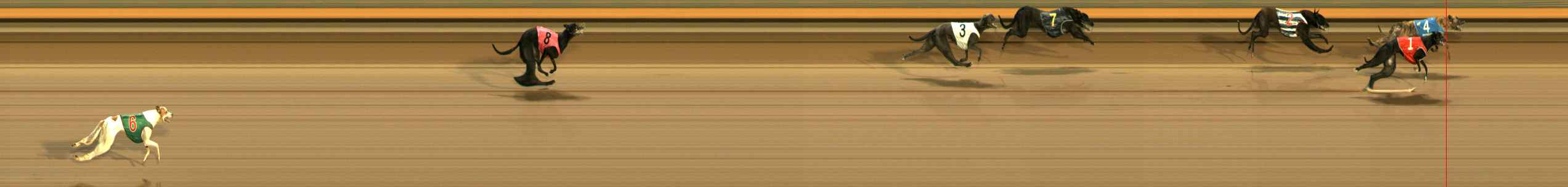 Photo finish for Ballarat Race 10