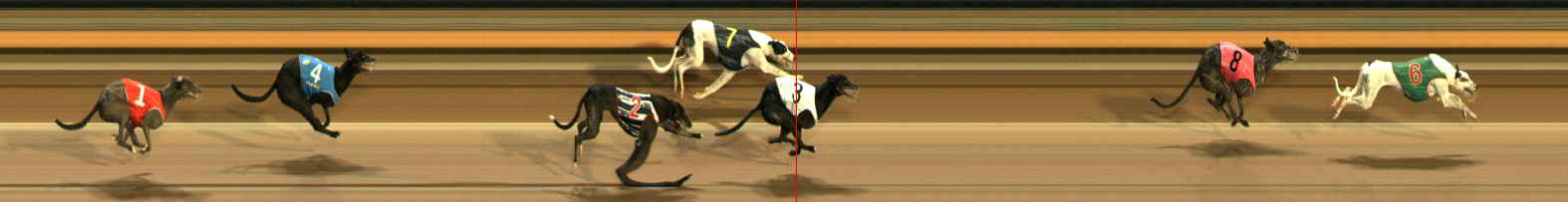 Photo finish for Ballarat Race 12