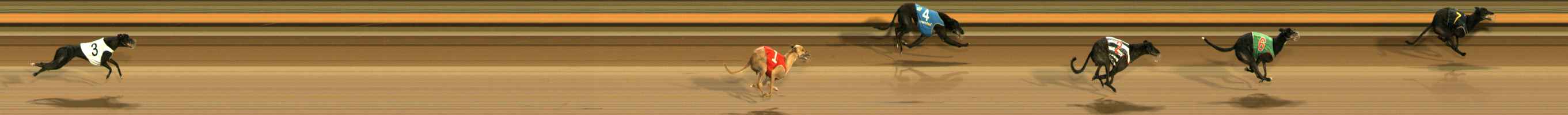 Photo finish for Ballarat Race 13