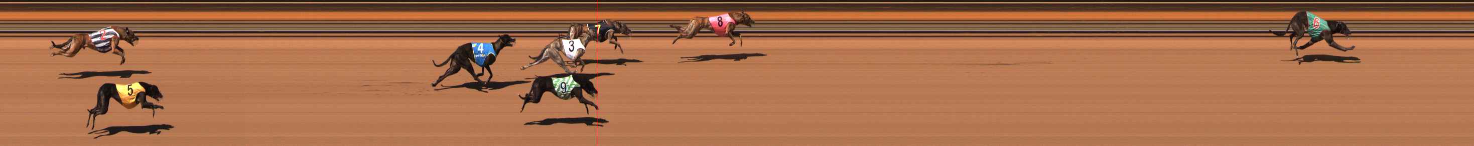 Photo finish for Ballarat Race 1