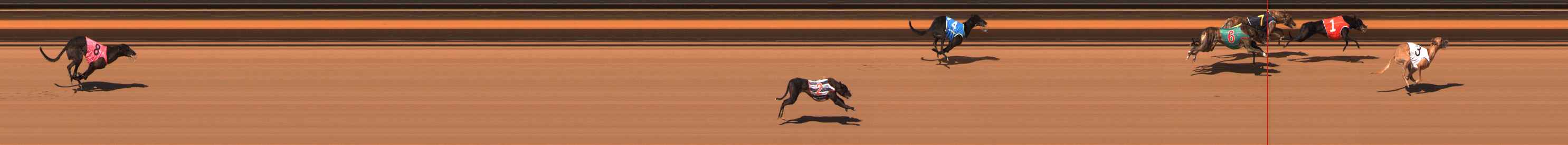 Photo finish for Ballarat Race 2