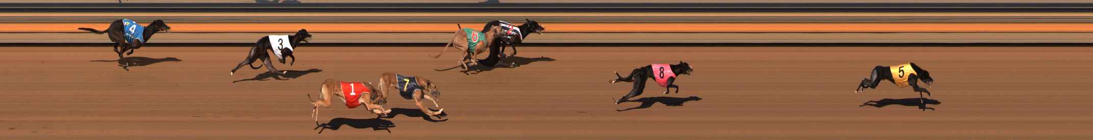 Photo finish for Ballarat Race 5