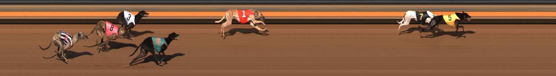 Photo finish for Ballarat Race 7