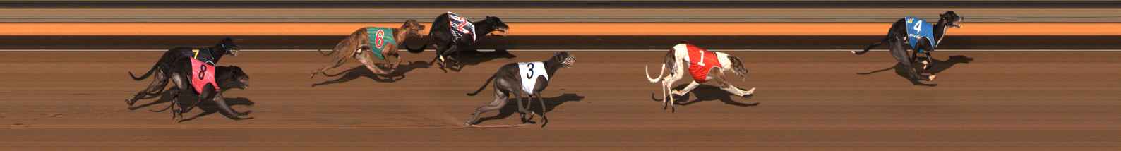 Photo finish for Ballarat Race 8