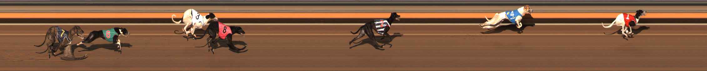 Photo finish for Ballarat Race 9