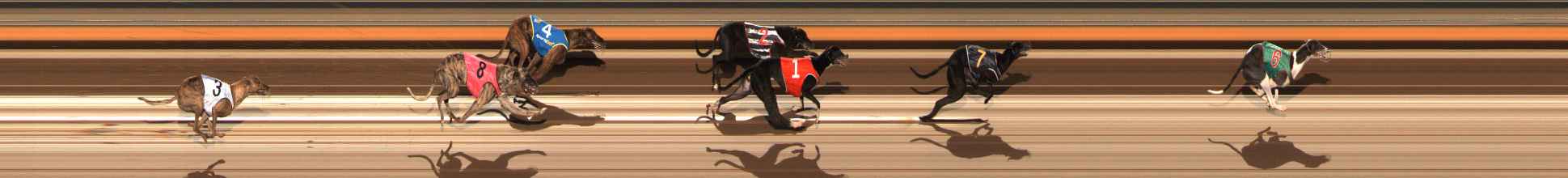 Photo finish for Ballarat Race 10