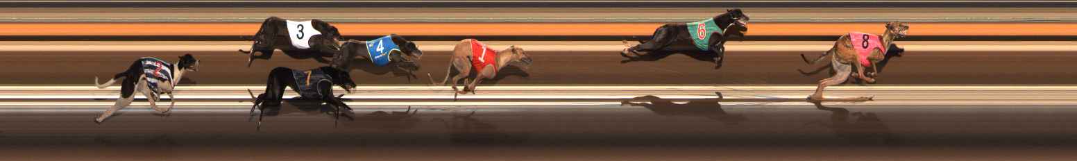 Photo finish for Ballarat Race 11