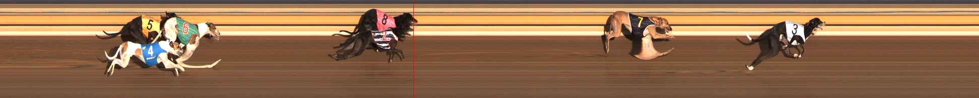 Photo finish for Ballarat Race 12