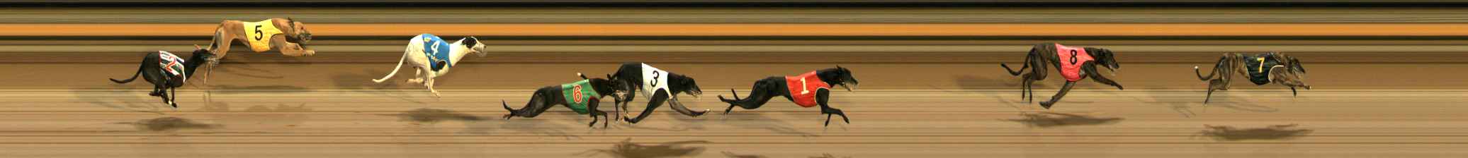 Photo finish for Ballarat Race 9