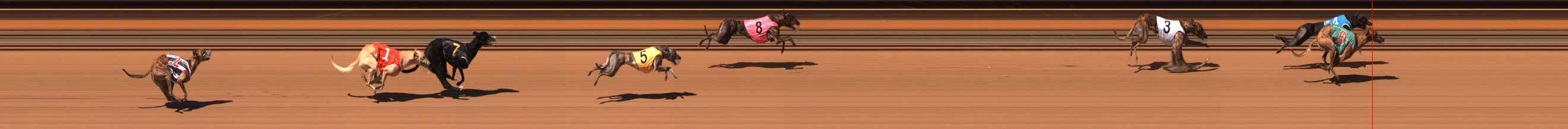 Photo finish for Ballarat Race 1