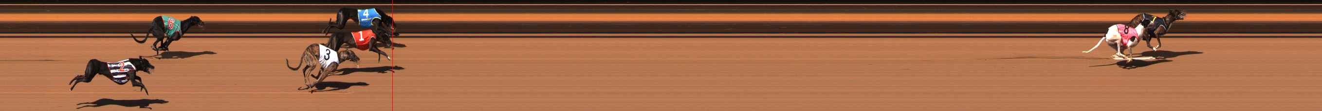 Photo finish for Ballarat Race 2