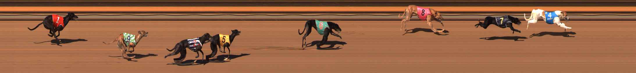 Photo finish for Ballarat Race 3