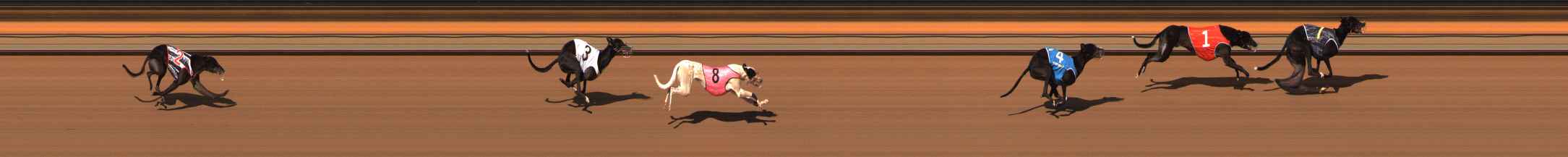 Photo finish for Ballarat Race 4