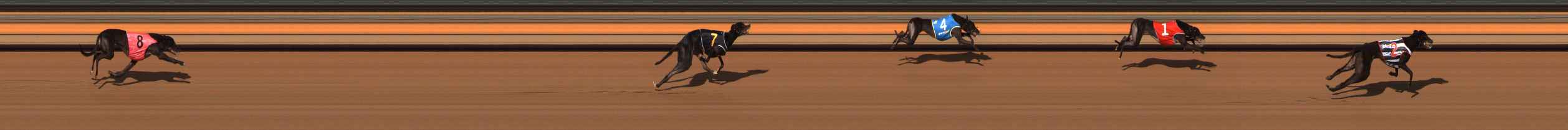 Photo finish for Ballarat Race 5