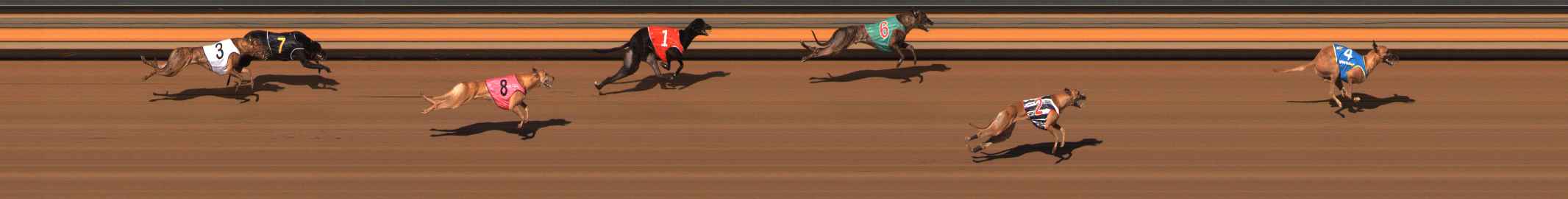 Photo finish for Ballarat Race 6