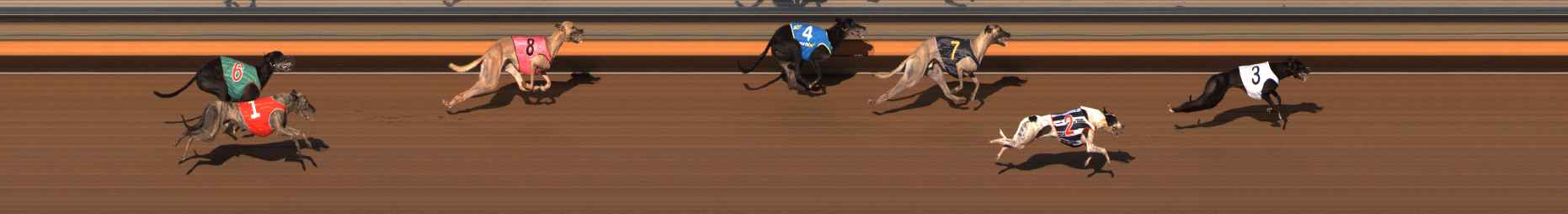 Photo finish for Ballarat Race 8