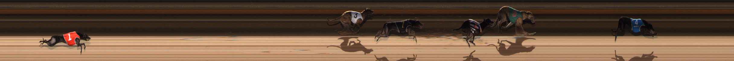 Photo finish for Ballarat Race 11