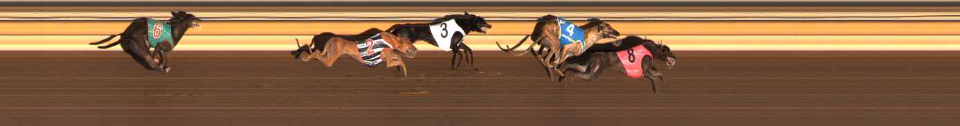 Photo finish for Ballarat Race 13