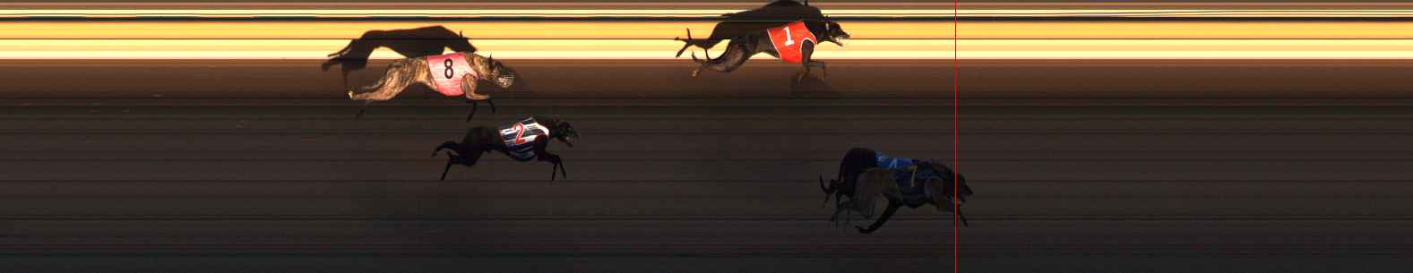 Photo finish for Ballarat Race 14