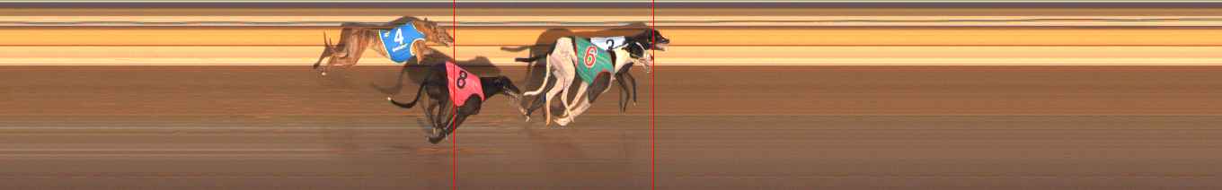 Photo finish for Ballarat Race 2
