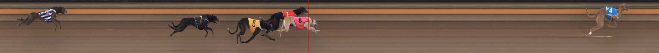 Photo finish for Ballarat Race 5