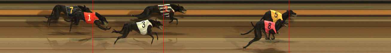 Photo finish for Ballarat Race 6