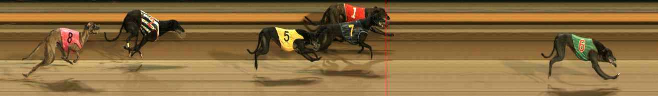 Photo finish for Ballarat Race 7