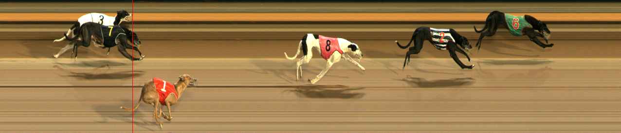 Photo finish for Ballarat Race 9