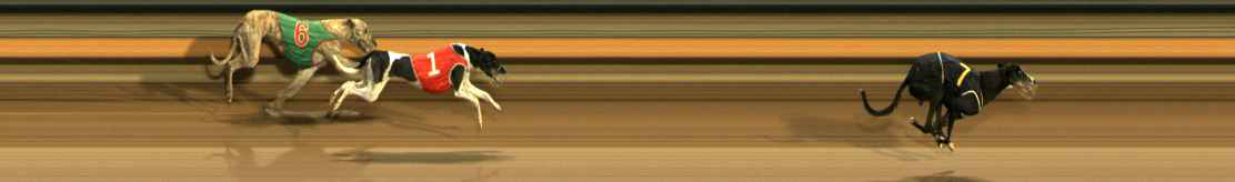 Photo finish for Ballarat Race 10