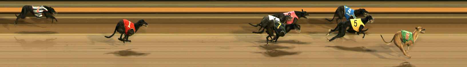 Photo finish for Ballarat Race 11