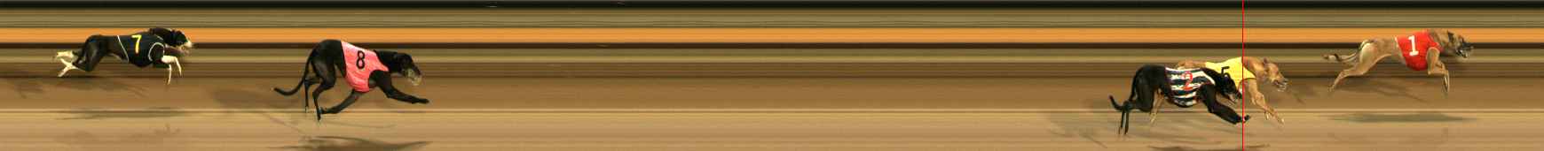 Photo finish for Ballarat Race 12