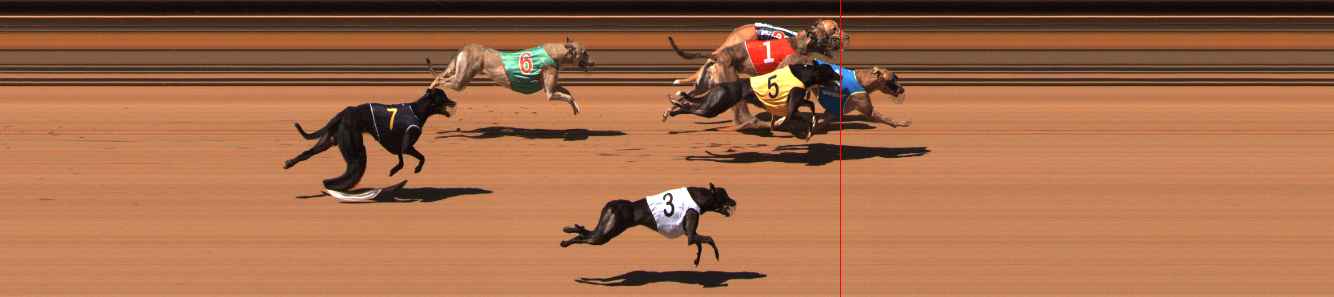 Photo finish for Ballarat Race 1