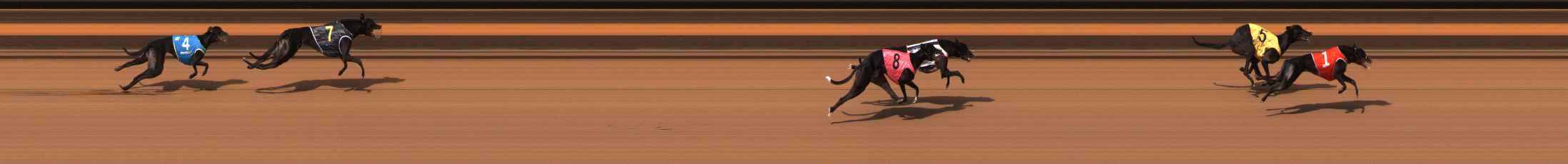 Photo finish for Ballarat Race 4