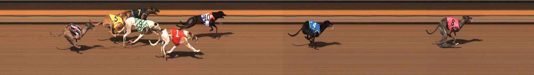 Photo finish for Ballarat Race 6