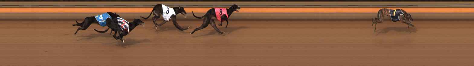 Photo finish for Ballarat Race 7