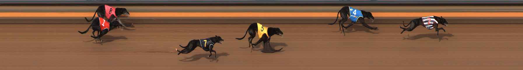 Photo finish for Ballarat Race 8