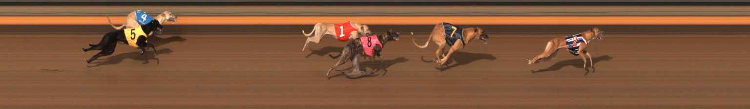 Photo finish for Ballarat Race 9