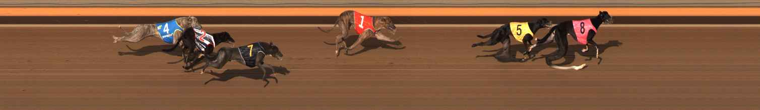 Photo finish for Ballarat Race 10