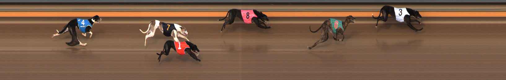 Photo finish for Ballarat Race 11