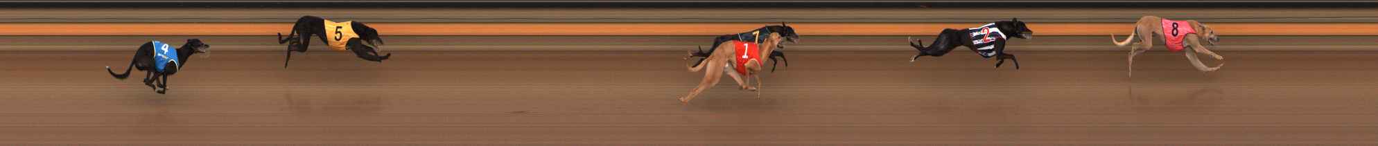Photo finish for Ballarat Race 12