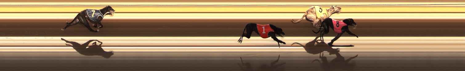 Photo finish for Ballarat Race 13