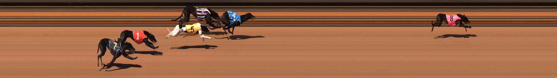 Photo finish for Ballarat Race 1