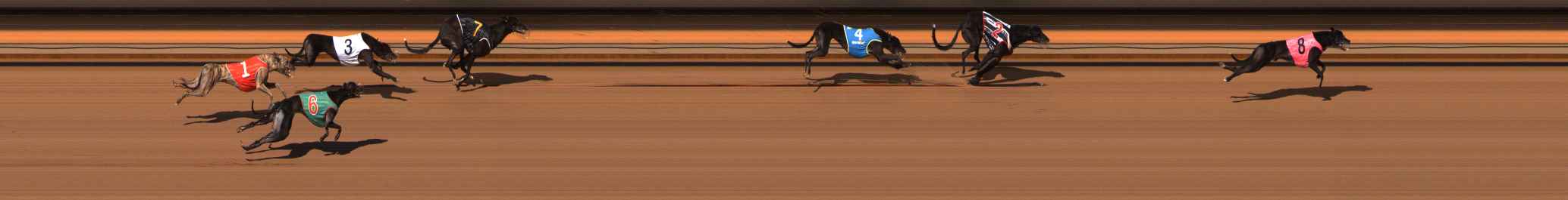 Photo finish for Ballarat Race 4