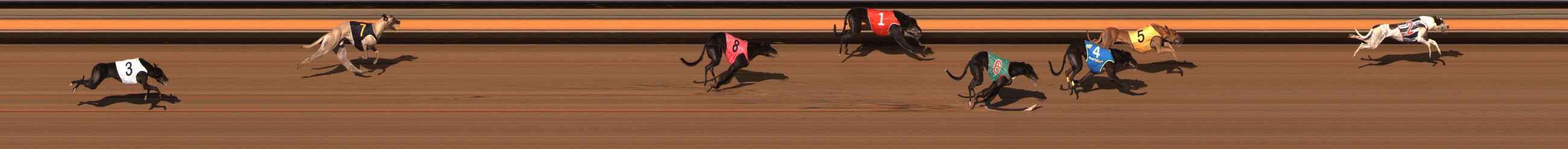 Photo finish for Ballarat Race 7