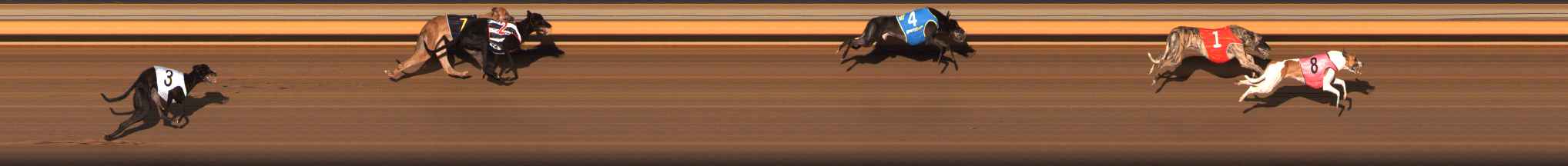 Photo finish for Ballarat Race 10