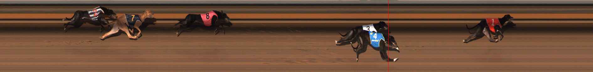 Photo finish for Ballarat Race 11