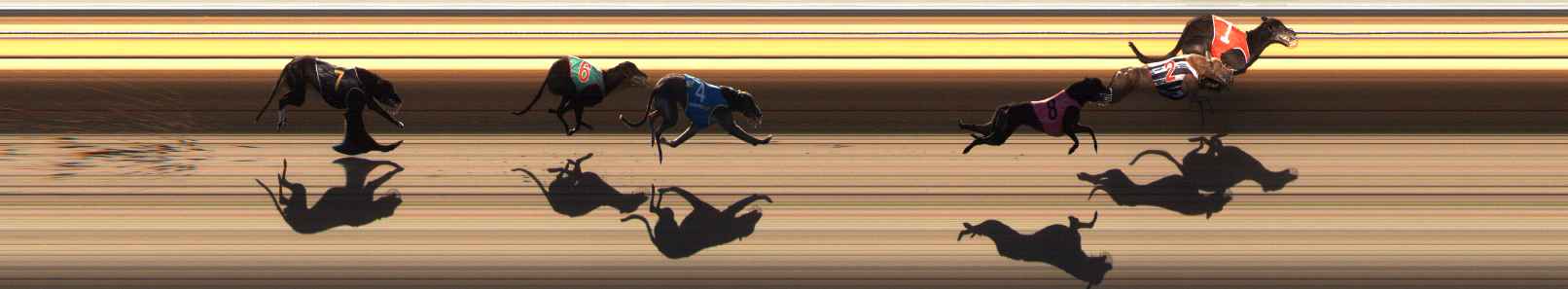 Photo finish for Ballarat Race 12